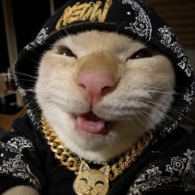 무헤헤's profile picture