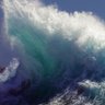 Thewedge's profile picture