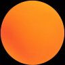 Josh's profile picture