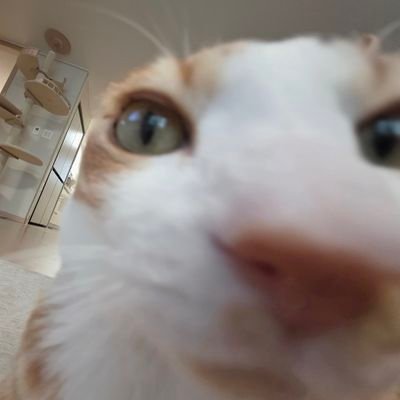김오뎅's profile picture