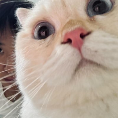 บ🐈ม's profile picture