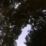 Nuashtc profil fotoğrafı