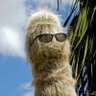 Profilbild von stickinit
