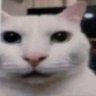 Profilbild von Wolfex