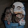 TYRONE SHOELACES's profile picture