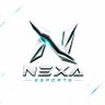 Nexa Esports's profile picture