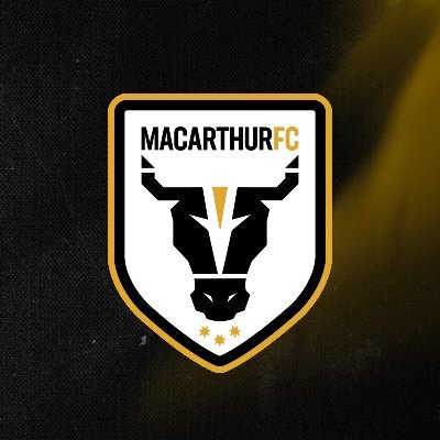 mfcbulls's profile picture
