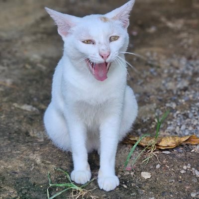7`th's profile picture