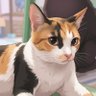 Profilbild von Momo