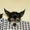Eduardo M.'s profile picture