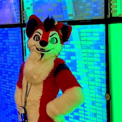 Furry_Widestar's profile picture