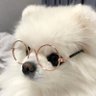 뀨짱 的头像