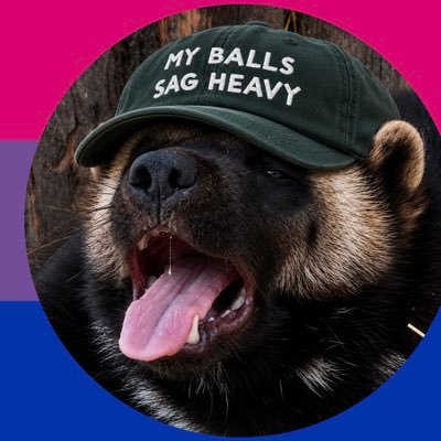 FlolfiestNight's profile picture