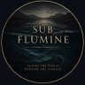SubFlumine 的头像
