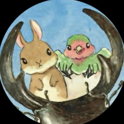 うさ。's profile picture