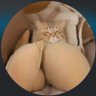 🐉| LLLoverdadeiro profil fotoğrafı