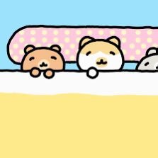 🐱 티켓양도 / 댈티 / 아옮 / 취켓팅 🐱's profile picture