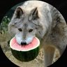 ehezao-🍉🏳️🌈☸️entity profil fotoğrafı