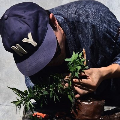 smallnycer's profile picture