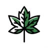 Maple Tree's profile picture