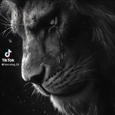 thanhquan2806's profile picture