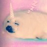el ʚĭɞೃ 的头像