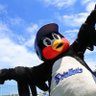 Profilbild von あきまる🐧