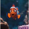Фото профиля nemo