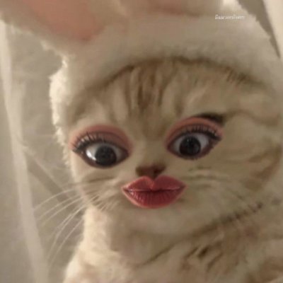 peamihihi's profile picture