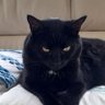 Xs64's profile picture