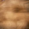 Profilbild von touchmeimsick