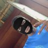 ๐๐ข๐ ๐๐ ๐ข๐๐๐๐'s profile picture