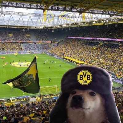 boleykenbole's profile picture