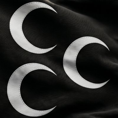 Harp Tarihi's profile picture