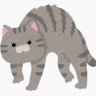 海月くん profil fotoğrafı