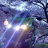 辻立ちライダーあばれ's profile picture