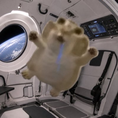 Jackgonelol's profile picture