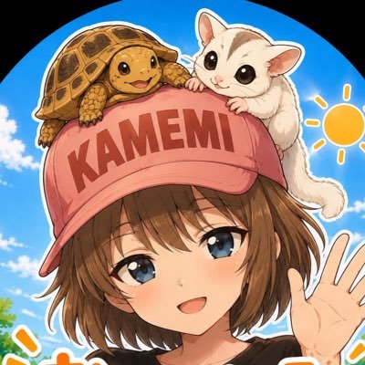 Beauty_Turtle_H's profile picture