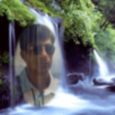 dinesh_chauhan's profile picture
