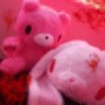 Gloomy Bear of Sillytwt 的头像