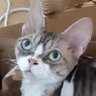 Upandaway's profile picture