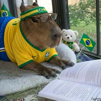capivara xandre's profile picture