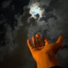 هآنت's profile picture