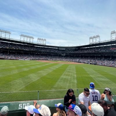 Swell's profile picture