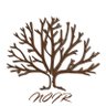 c’est noir 🌳 的头像