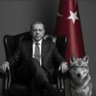 Фото профиля 🅲🅽🅽 🇹🇷 🆁.🆃.🅴 🇹🇷💡
