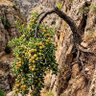 Фото профиля adnan sief