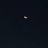 ชิคเก้ล's profile picture