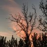 side's profile picture