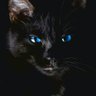 Jose Ferris's profile picture